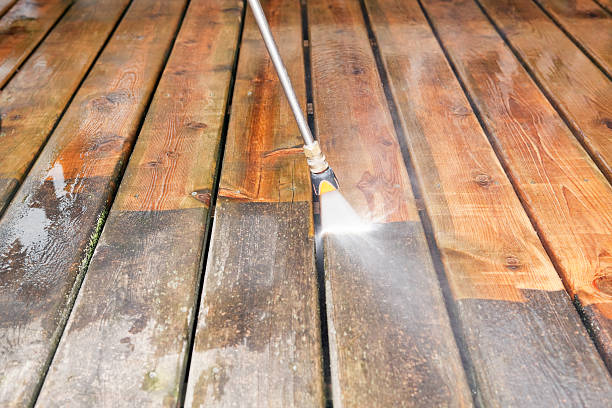 Animal Enclosure Cleaning in Five Points, FL